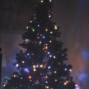 Meet your Posher, Kyleigh